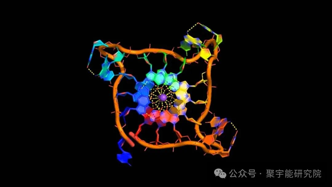 金日光教授:【《黄帝内经》所深藏的奥秘•之七十五】有些群友问我,人及各种动物的寿命究竟由什么决定?(图9) 10.jpg