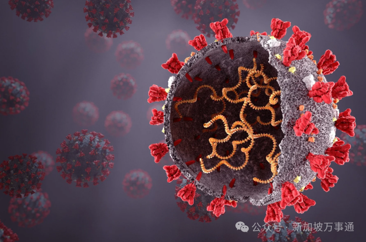KP2冠病新毒株肆虐全球!新加坡已有人中招6次、打4次疫苗仍被感染…(图14) 640.png