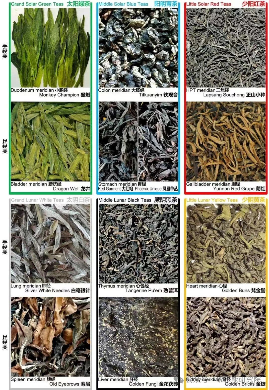 金日光教授:【《黄帝内经》所深藏的奥秘•之七十六】有些群友问我钱老对费伦教授的经络研究有什么看法?(图61) 25.jpg