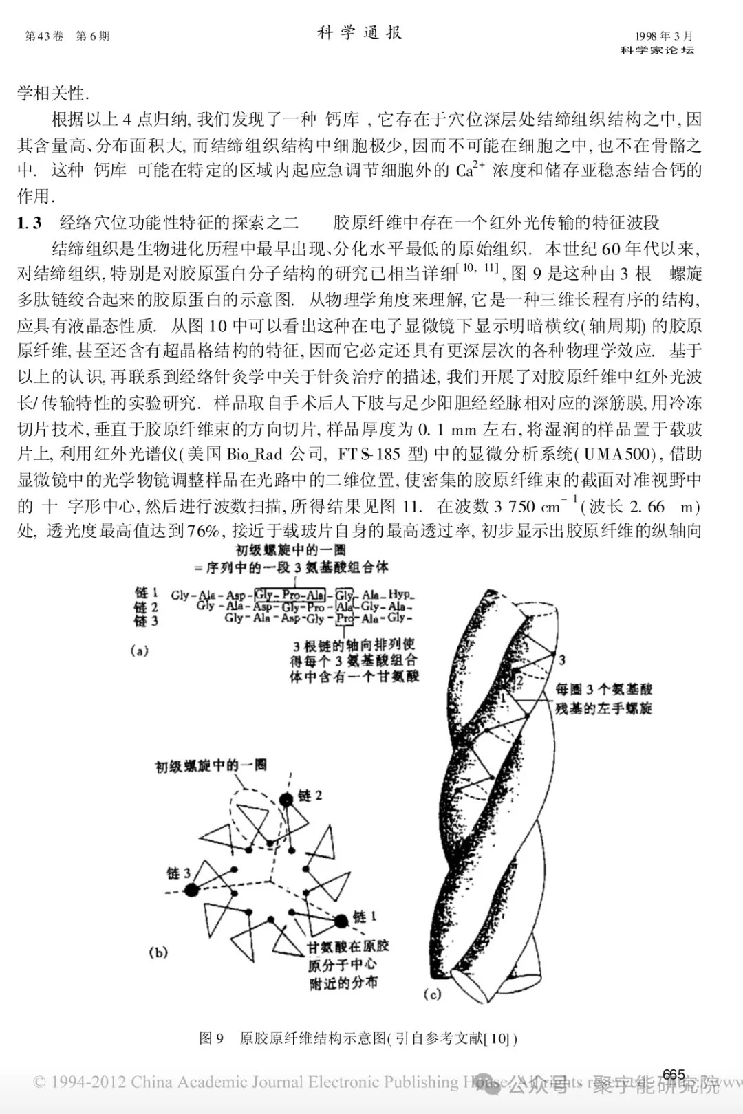 金日光教授:【《黄帝内经》所深藏的奥秘•之七十六】有些群友问我钱老对费伦教授的经络研究有什么看法?(图8) 31.jpg