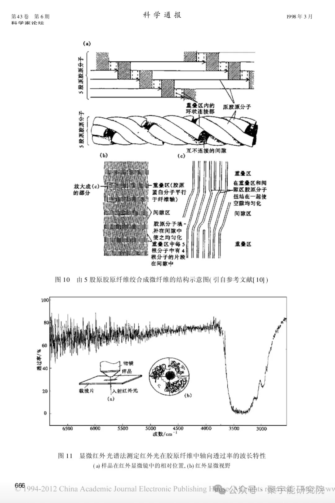 金日光教授:【《黄帝内经》所深藏的奥秘•之七十六】有些群友问我钱老对费伦教授的经络研究有什么看法?(图9) 32.jpg