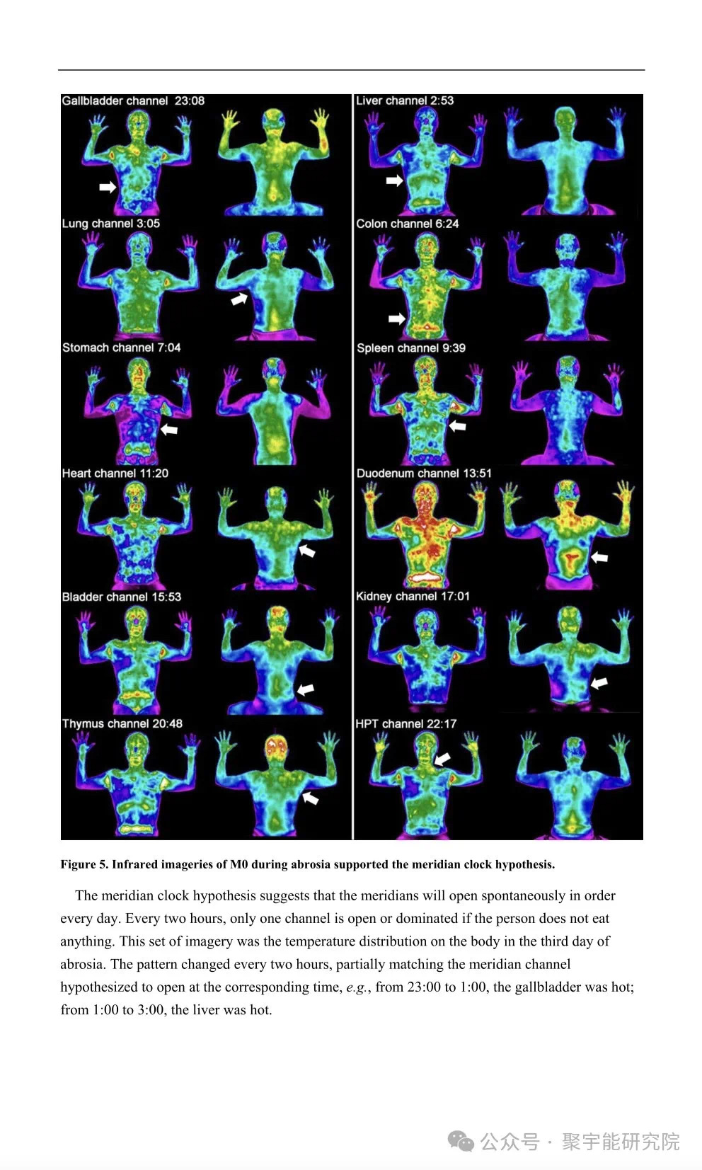 金日光教授:【《黄帝内经》所深藏的奥秘•之七十六】有些群友问我钱老对费伦教授的经络研究有什么看法?(图38) 14.jpg