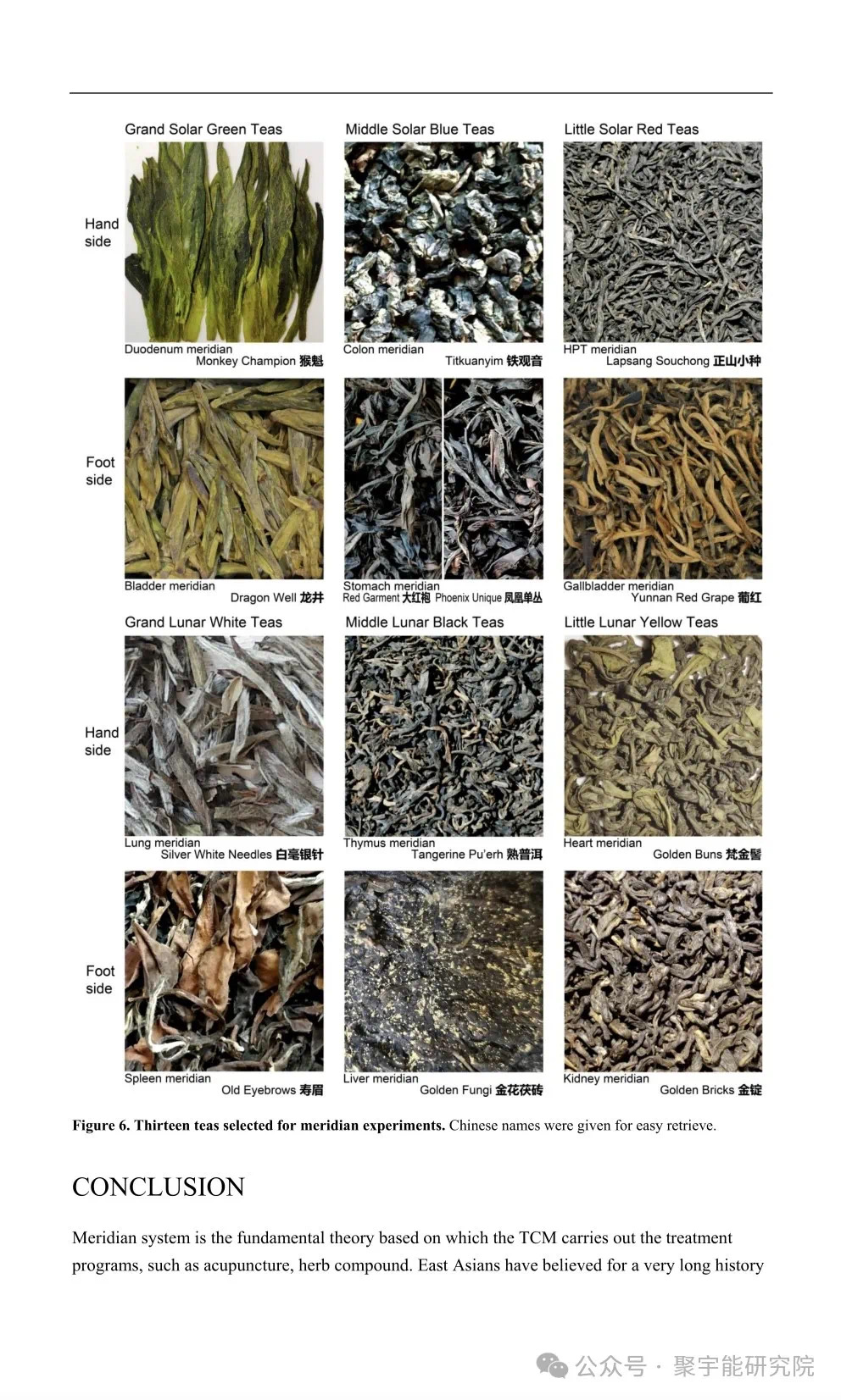 金日光教授:【《黄帝内经》所深藏的奥秘•之七十六】有些群友问我钱老对费伦教授的经络研究有什么看法?(图59) 5.jpg