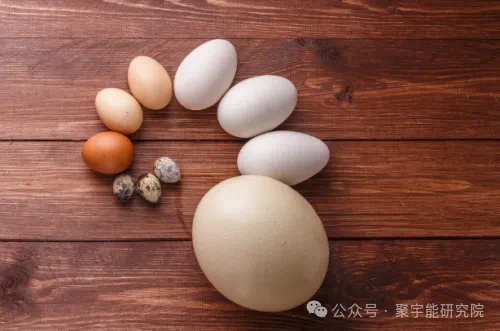 金日光教授:【《黄帝内经》所深藏的奥秘•之八十一】为什么说四条腿的营养不如两条腿的,两条腿的不如一条腿的,一条腿的不如无腿的?(图6) 28.png