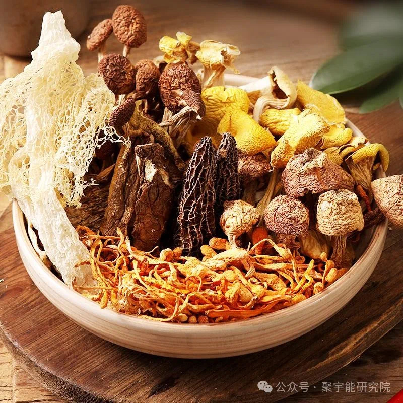 金日光教授:【《黄帝内经》所深藏的奥秘•之八十一】为什么说四条腿的营养不如两条腿的,两条腿的不如一条腿的,一条腿的不如无腿的?(图13) 35.jpg