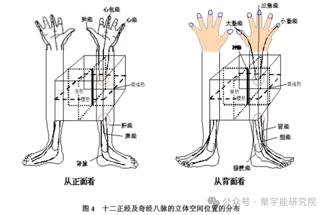 金日光教授:【《黄帝内经》为何是中医大学科最上等的医典?•一】当年钱老说《黄帝内经》是在古医籍里至高无上的医典,为什么?(图2) 6.png