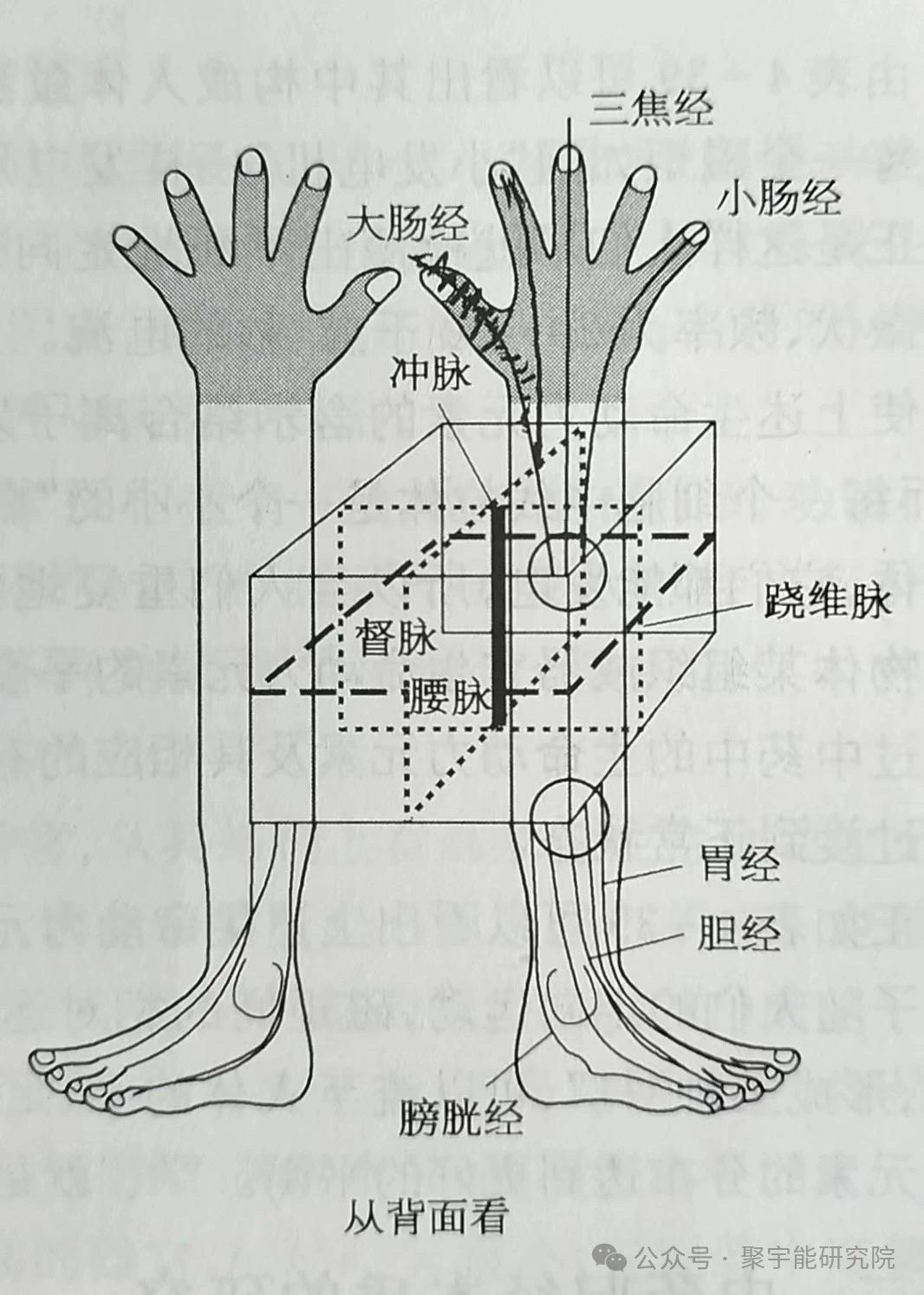 金日光教授:【《黄帝内经》为何是中医大学科最上等的医典?•一】当年钱老说《黄帝内经》是在古医籍里至高无上的医典,为什么?(图5) 9.jpg