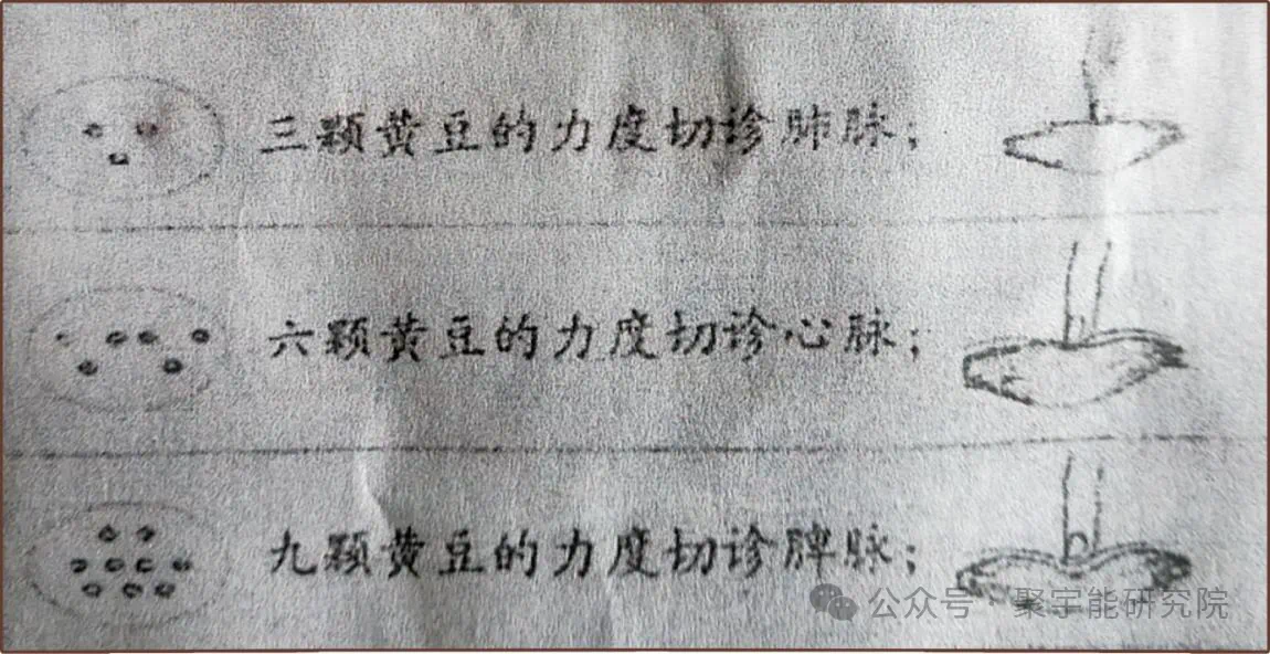 金日光教授:【《黄帝内经》为何是中医大学科最上等的医典?•八】寸口切脉的理论依据是什么? (图3) 10.png