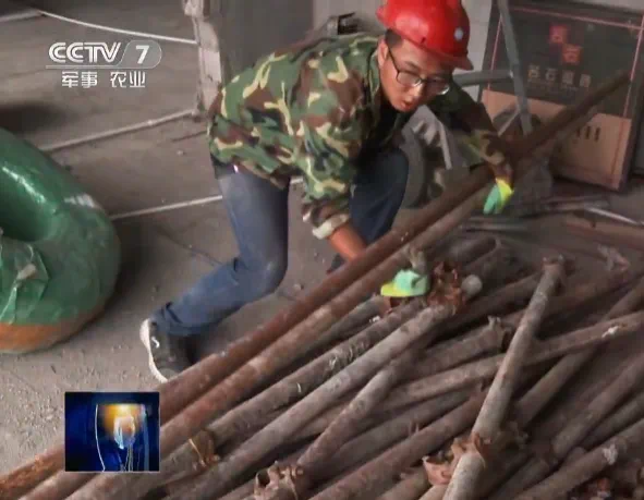 那个“在工地上收到清华录取通知书”的学生,现在怎么样了?(图1) 23.png