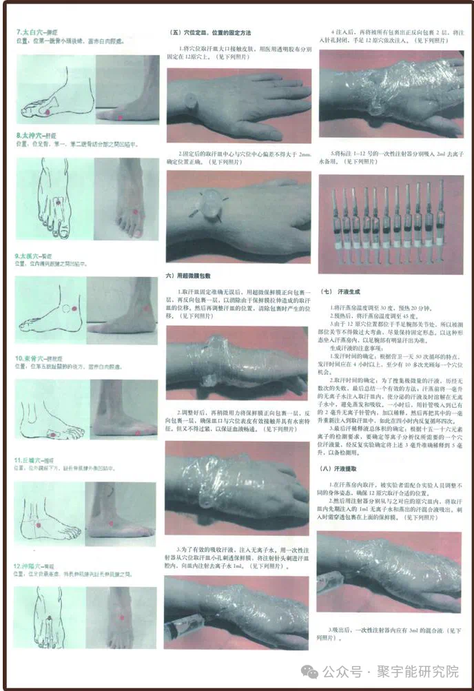 金日光教授:【《黄帝内经》为何是中医大学科最上等的医典?•十六】经络系统里到底有什么实体?能否见见钟伟东先生亲身说的视频?(图8) 19.png