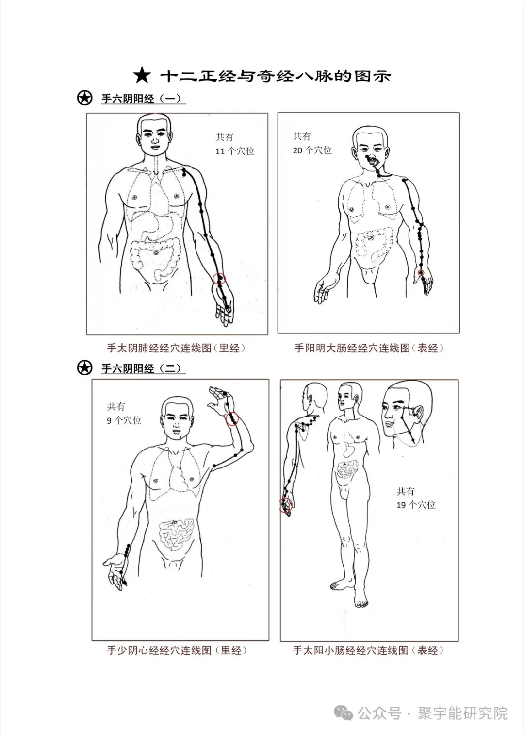 金日光教授:【《黄帝内经》为何是中医大学科最上等的医典?•十六】经络系统里到底有什么实体?能否见见钟伟东先生亲身说的视频?(图34) 41.jpg