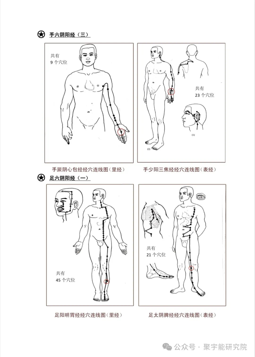 金日光教授:【《黄帝内经》为何是中医大学科最上等的医典?•十六】经络系统里到底有什么实体?能否见见钟伟东先生亲身说的视频?(图35) 42.jpg