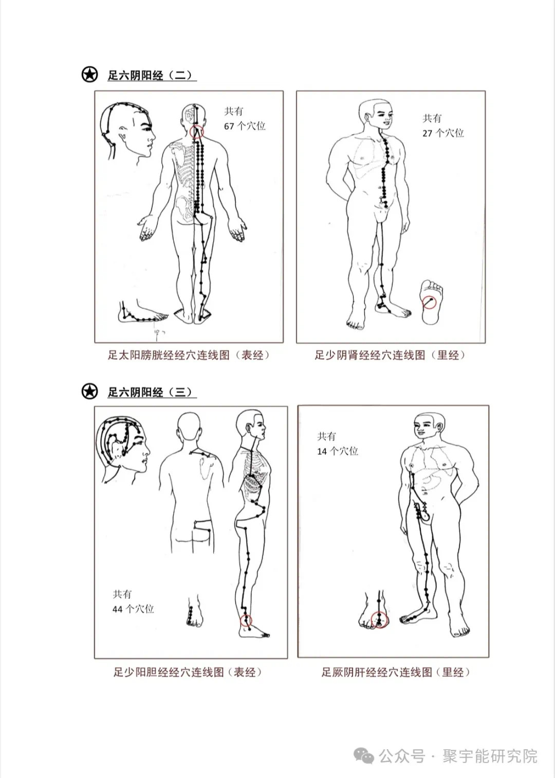 金日光教授:【《黄帝内经》为何是中医大学科最上等的医典?•十六】经络系统里到底有什么实体?能否见见钟伟东先生亲身说的视频?(图36) 43.jpg