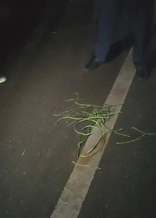 公职人员和教师偷摘村民豆角引冲突?官方最新通报(图1) 2.jpg