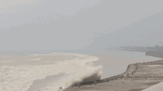 金日光教授:【《黄帝内经》为何是中医大学科最上等的医典?•十八】为什么在杭州建北纬30°生命动力/灵境科学园?(图6) 640.gif