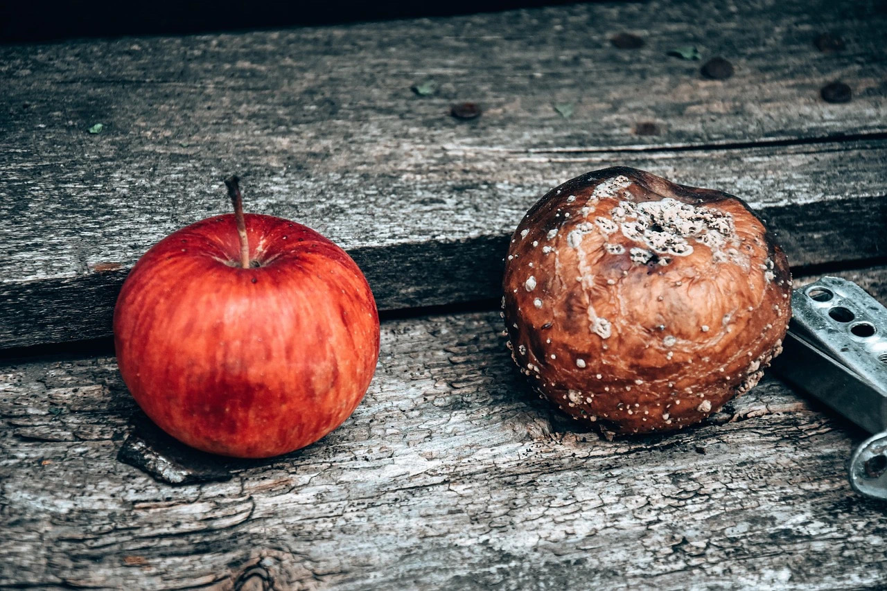 你可能不小心吃过“最脏的水果”!!(图3) 2.jpg