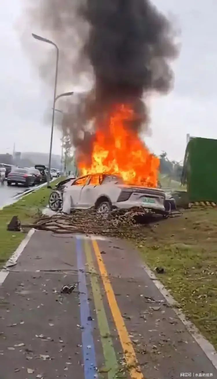 成都四人被活活烧死在电车内,车门断电打不开(图8) 640.jpg