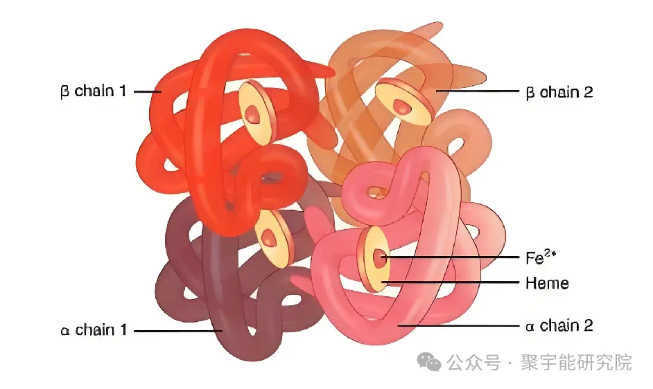 金日光教授:【《黄帝内经》为何是中医大学科最上等的医典?•二十二】人体有d轨道电子有磁场可以理解,但为什么地球、太阳也有磁场?(图3) 22.png