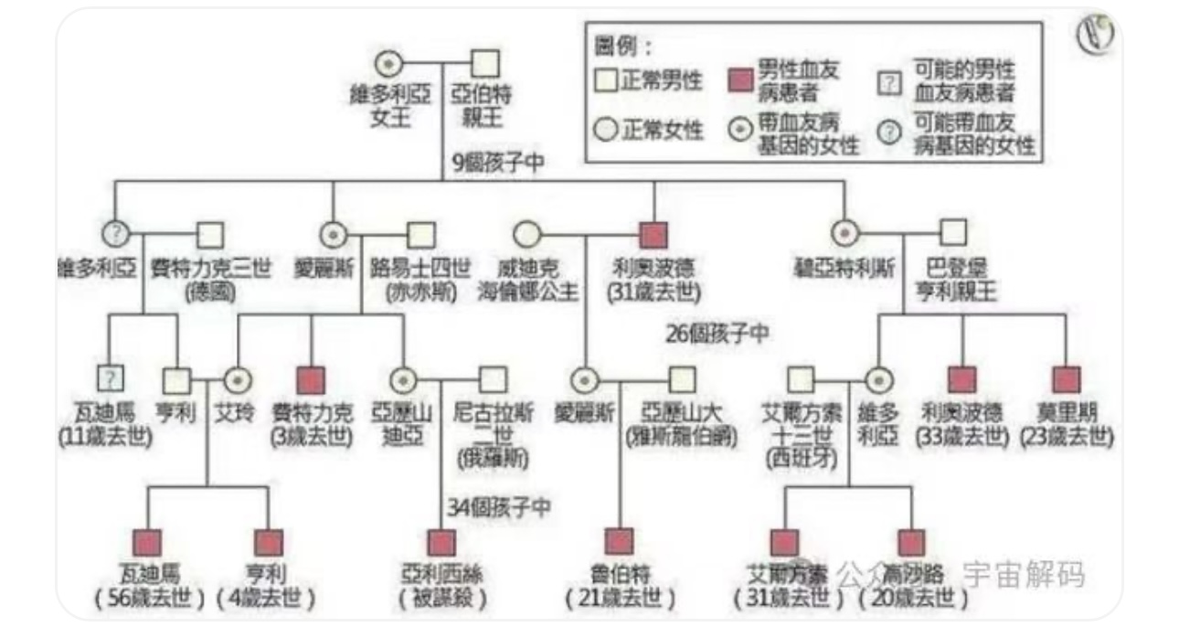 动物交配六亲不认,若雄性遇上自己母亲呢?(图3) 7.jpg