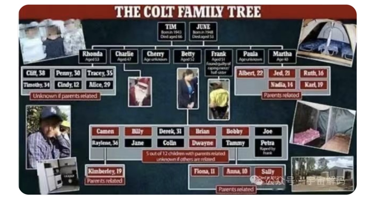 动物交配六亲不认,若雄性遇上自己母亲呢?(图4) 8.jpg