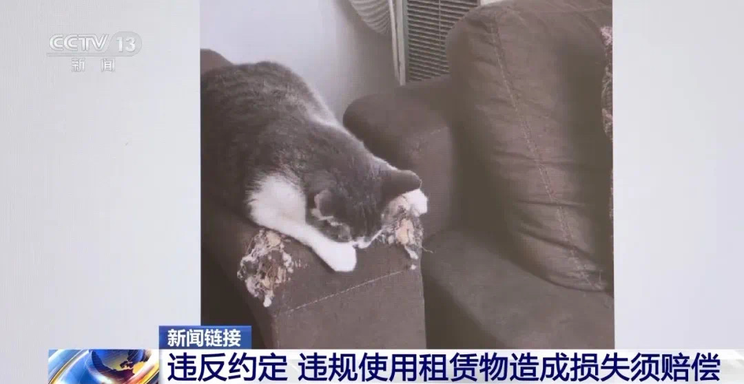 退房时房东要求更换马桶盖,法院这样判(图13) 12.jpg