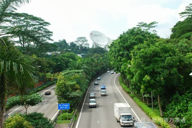 中国男子花1.9万来新加坡打工,不到一个月就被辞退、割准证、中介拉黑…(图1) 640.png