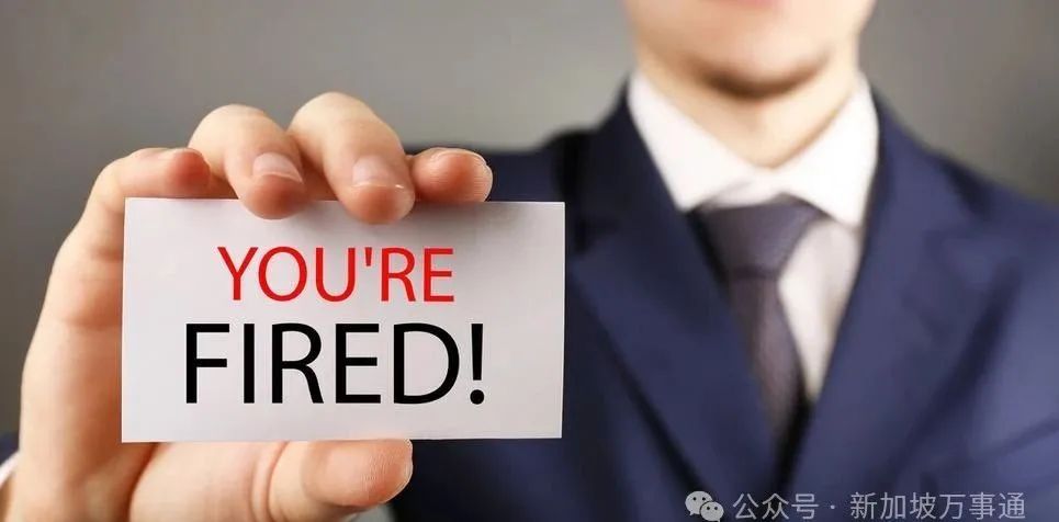 中国男子花1.9万来新加坡打工,不到一个月就被辞退、割准证、中介拉黑…(图2) 640.jpg