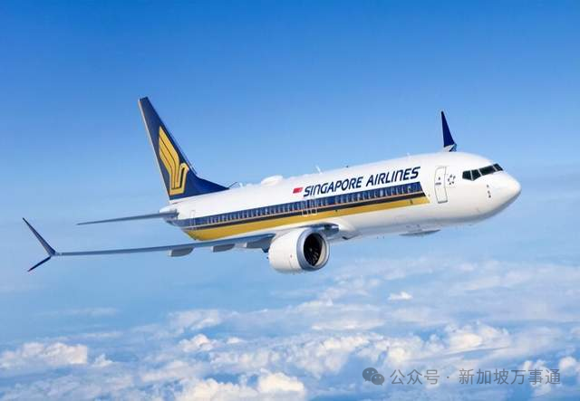 中国男子花1.9万来新加坡打工,不到一个月就被辞退、割准证、中介拉黑…(图15) 640.png