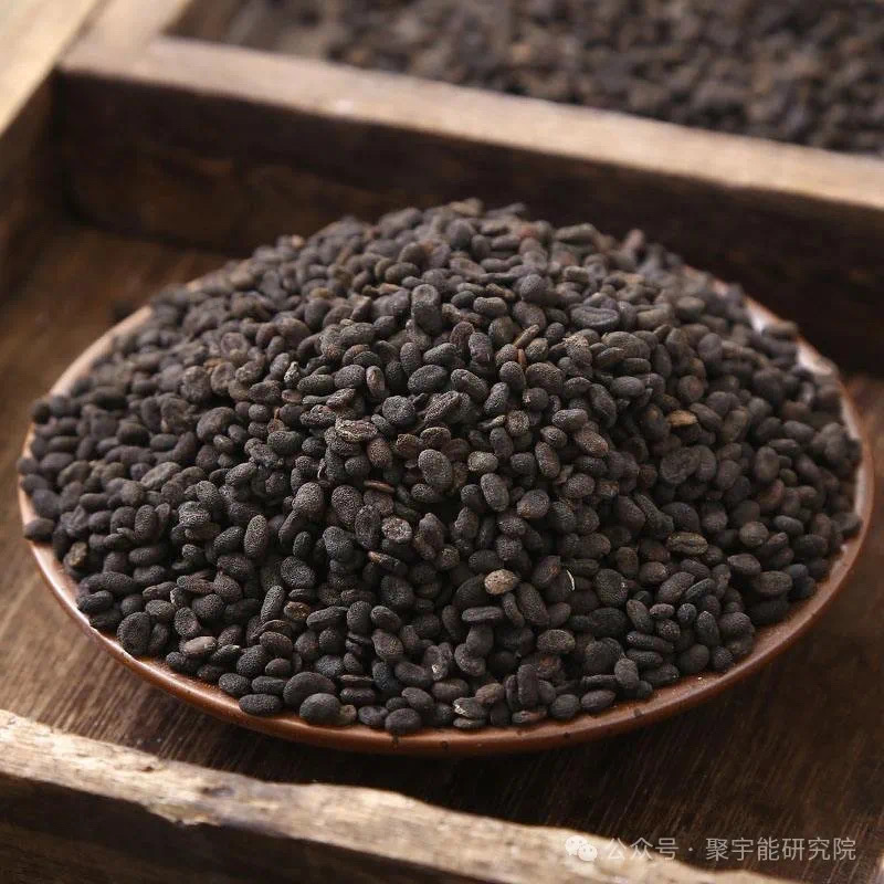 金日光教授:【《黄帝内经》为何是中医大学科最上等的医典?•二十六】今天我说点“青娥丸”的事(图6) 12.jpg