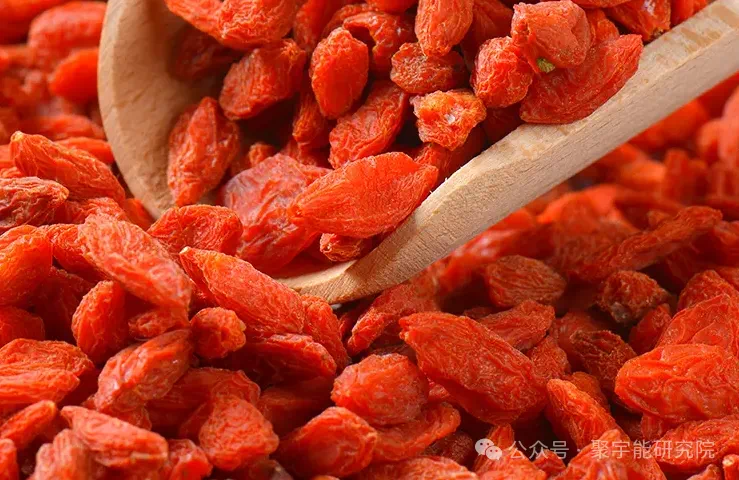 金日光教授:【《黄帝内经》为何是中医大学科最上等的医典?•二十七】“五子衍宗丸”对男人真好吗?(图2) 5.png