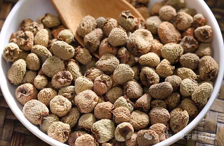 金日光教授:【《黄帝内经》为何是中医大学科最上等的医典?•二十七】“五子衍宗丸”对男人真好吗?(图4) 7.png