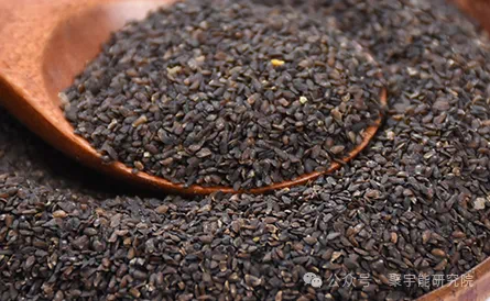 金日光教授:【《黄帝内经》为何是中医大学科最上等的医典?•二十七】“五子衍宗丸”对男人真好吗?(图6) 9.png