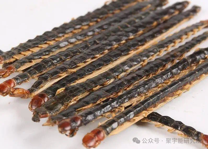 金日光教授:【《黄帝内经》为何是中医大学科最上等的医典?•三十一】从九宫九类特供药看治疗癌症的思路(图6) 16.png