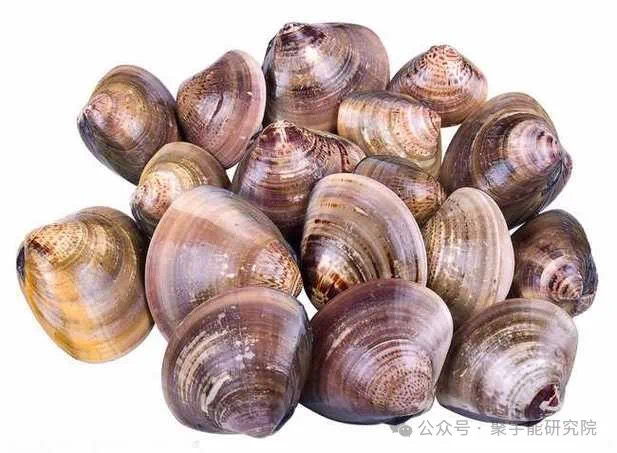 金日光教授:【《黄帝内经》为何是中医大学科最上等的医典?•三十一】从九宫九类特供药看治疗癌症的思路(图7) 17.jpg