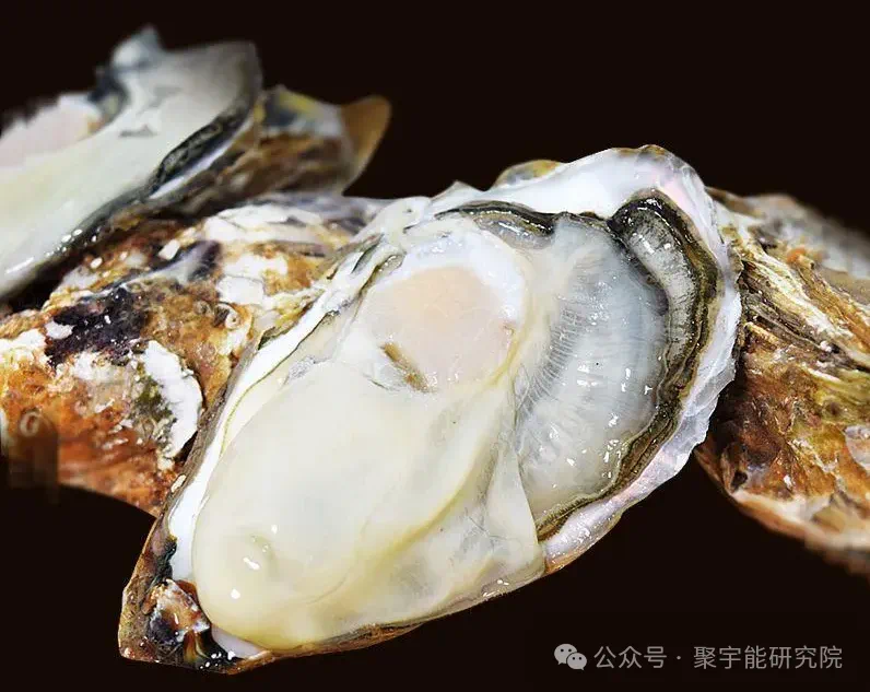 金日光教授:【《黄帝内经》为何是中医大学科最上等的医典?•三十一】从九宫九类特供药看治疗癌症的思路(图8) 18.png