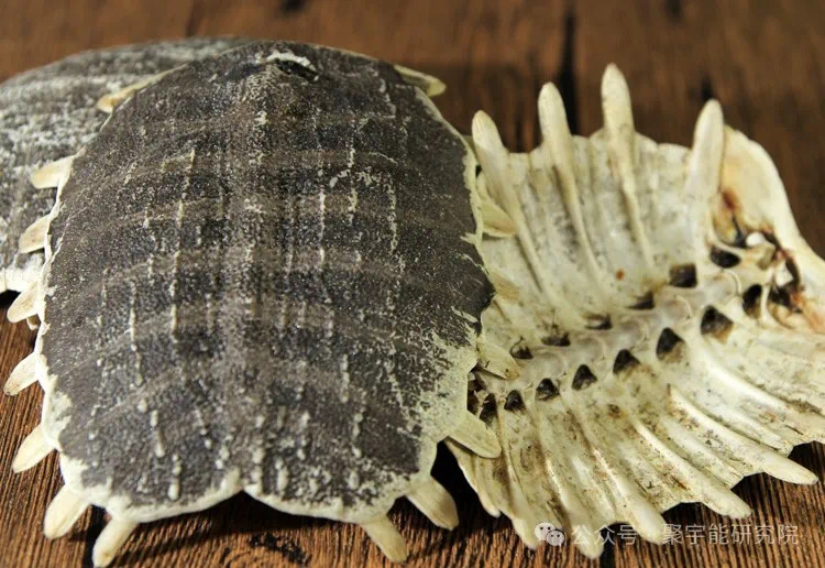 金日光教授:【《黄帝内经》为何是中医大学科最上等的医典?•三十一】从九宫九类特供药看治疗癌症的思路(图9) 19.jpg