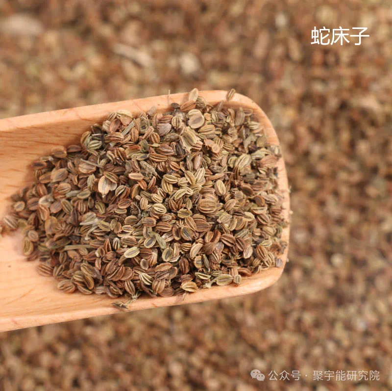 金日光教授:【《黄帝内经》为何是中医大学科最上等的医典?•三十四】不少群友说希望把钱老的《963九宫九大类特供药》大表格再说说(图10) 17.jpg