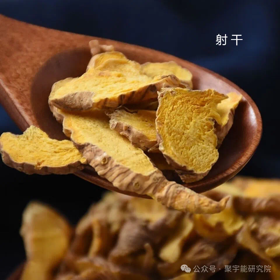 金日光教授:【《黄帝内经》为何是中医大学科最上等的医典?•三十四】不少群友说希望把钱老的《963九宫九大类特供药》大表格再说说(图11) 18.png