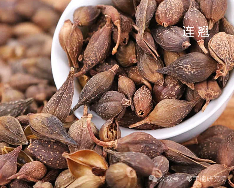 金日光教授:【《黄帝内经》为何是中医大学科最上等的医典?•三十四】不少群友说希望把钱老的《963九宫九大类特供药》大表格再说说(图23) 30.png