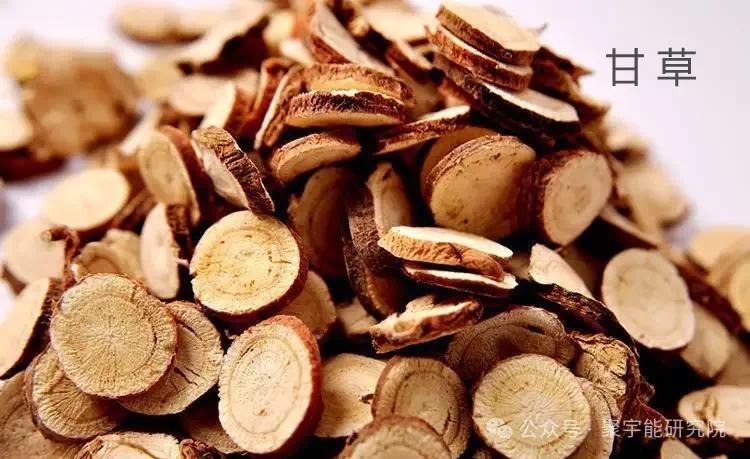 金日光教授:【《黄帝内经》为何是中医大学科最上等的医典?•三十四】不少群友说希望把钱老的《963九宫九大类特供药》大表格再说说(图18) 25.png