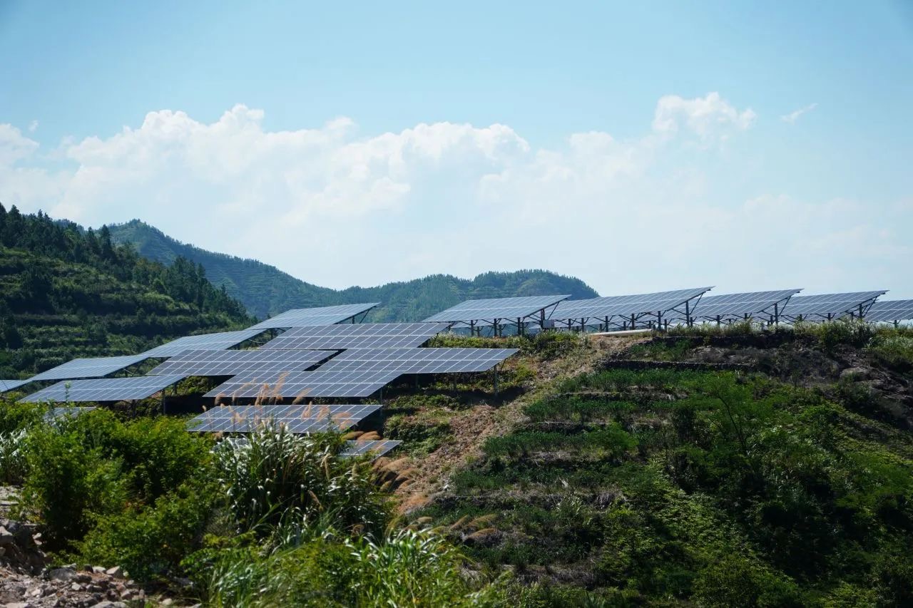 2024北京大学力行实干 |【浙江温州苍南服务团】砥砺深耕清洁能源,创新致远绿色发展(图16) 14.jpg