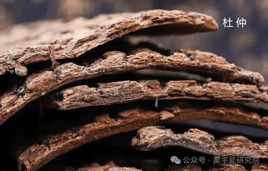 金日光教授:【《黄帝内经》为何是中医大学科最上等的医典?•三十七】有人问一个糖尿病人吃的药,能否用<九宫九药类>解读?(图2) 62.png