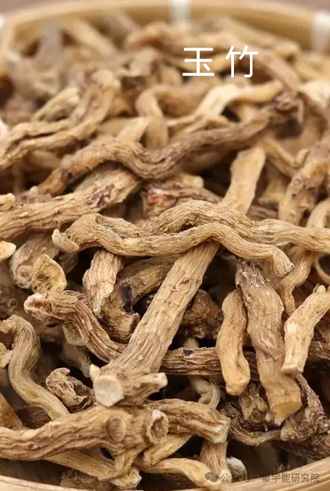 金日光教授:【《黄帝内经》为何是中医大学科最上等的医典?•三十七】有人问一个糖尿病人吃的药,能否用<九宫九药类>解读?(图16) 75.png