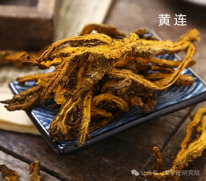 金日光教授:【《黄帝内经》为何是中医大学科最上等的医典?•三十七】有人问一个糖尿病人吃的药,能否用<九宫九药类>解读?(图8) 68.png