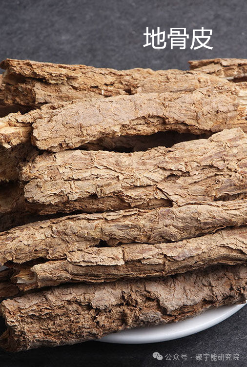 金日光教授:【《黄帝内经》为何是中医大学科最上等的医典?•三十七】有人问一个糖尿病人吃的药,能否用<九宫九药类>解读?(图17) 图片