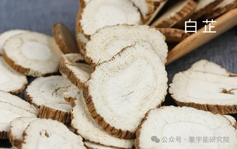 金日光教授:【《黄帝内经》为何是中医大学科最上等的医典?•四十】赤脚医生姜得喜先生的治中风的药方究竟好不好?(图7) 15.png