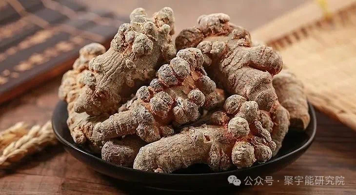 金日光教授:【《黄帝内经》为何是中医大学科最上等的医典?•四十】赤脚医生姜得喜先生的治中风的药方究竟好不好?(图9) 16.jpg