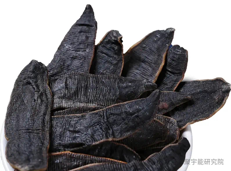 金日光教授:【《黄帝内经》为何是中医大学科最上等的医典?•四十】赤脚医生姜得喜先生的治中风的药方究竟好不好?(图10) 17.jpg