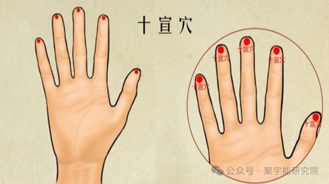 金日光教授:【《黄帝内经》为何是中医大学科最上等的医典?•四十三】为什么钱老把井穴比喻成人体经络系统里的<远程洲际导弹出击处>?(图1) 17.jpg