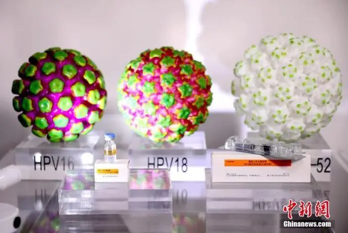 “HPV疫苗卖不动了”,企业盯上男性市场(图1) 640.jpg